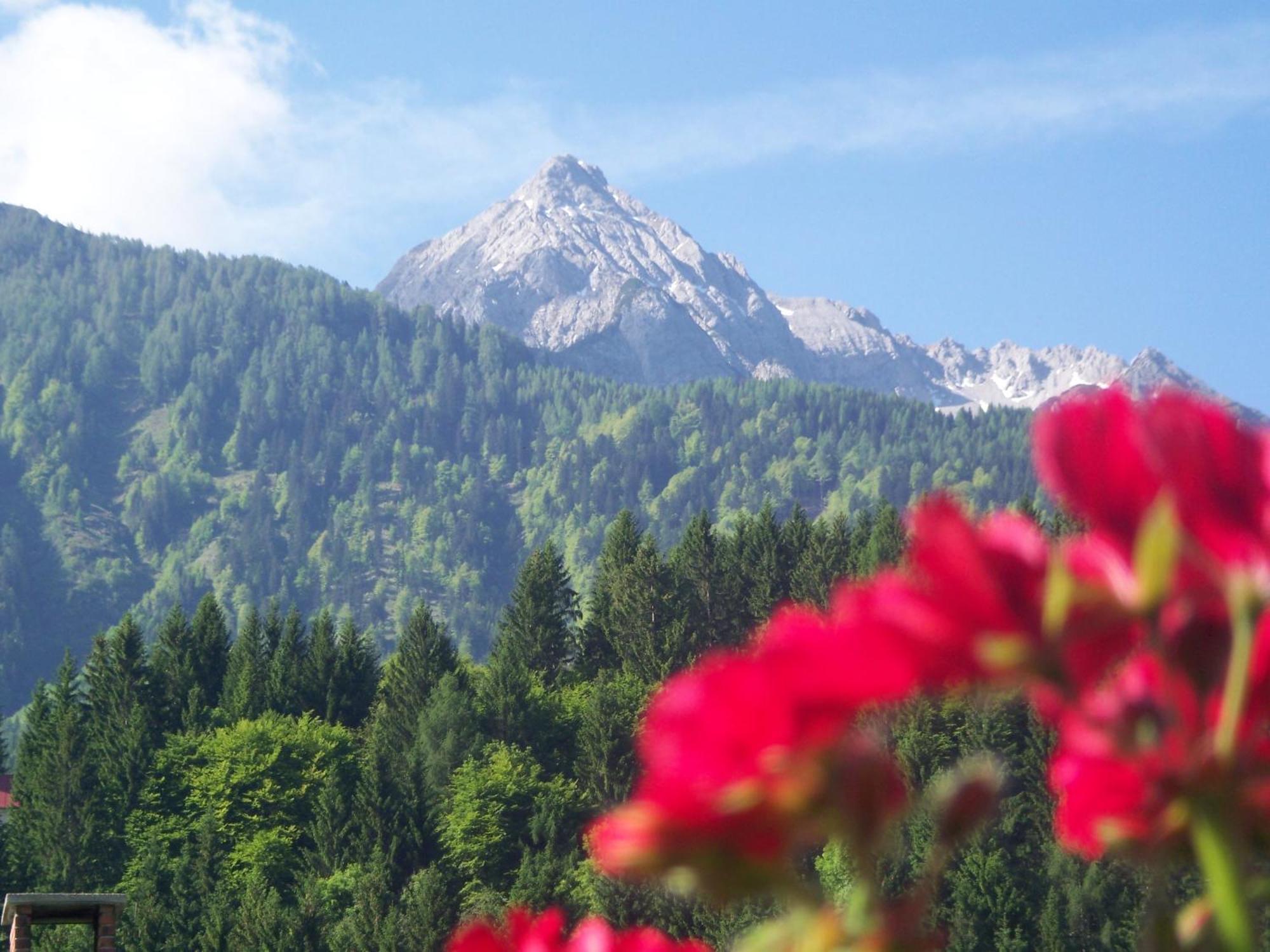 Landhaus Zoppoth Kotschach-Mauthen Bagian luar foto